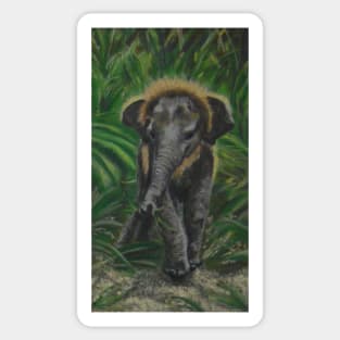 Baby Elephant in the tall grass Sticker